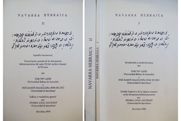 Navarra Hebraica. Estudio lingüístico de la aljamía romance en los …