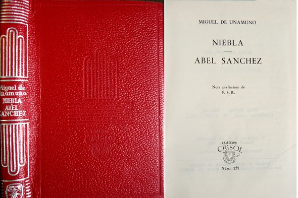 Niebla. Abel Sanchez. Nota preliminar de Federico Carlos Sainz de …