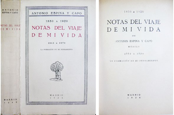 Notas del viaje de mi vida. II: 1861-1870. La formación …