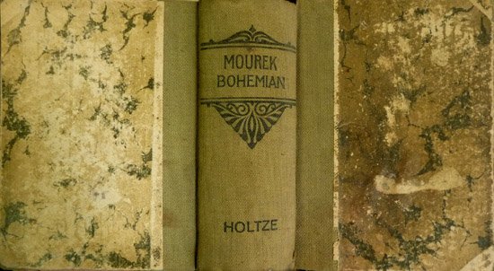 Pocket Dictionary of the Bohemian and English Languages. Kapesní slovník …