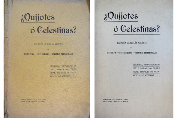 ¿Quijotes o Celestinas?. Violación de España naciente por Institutos, Universidades …