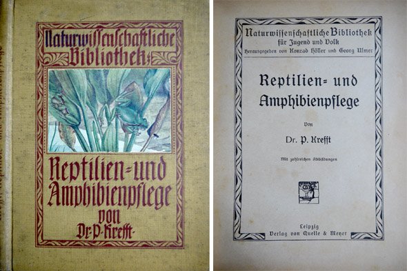 Reptilien und Amphibienpflege.