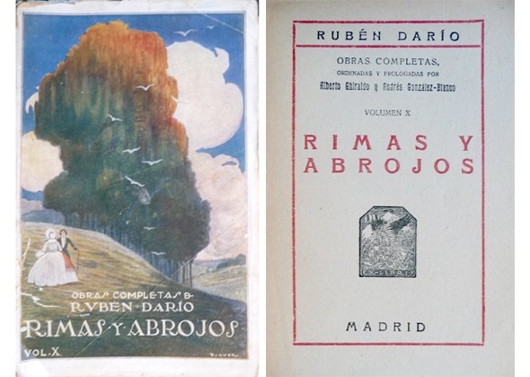 Rimas y abrojos. Poemas.
