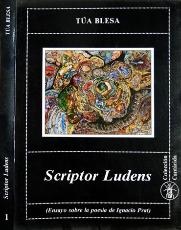 Scriptor Ludens. Ensayo sobre la poesía de Ignacio Prat.[1947-1982].