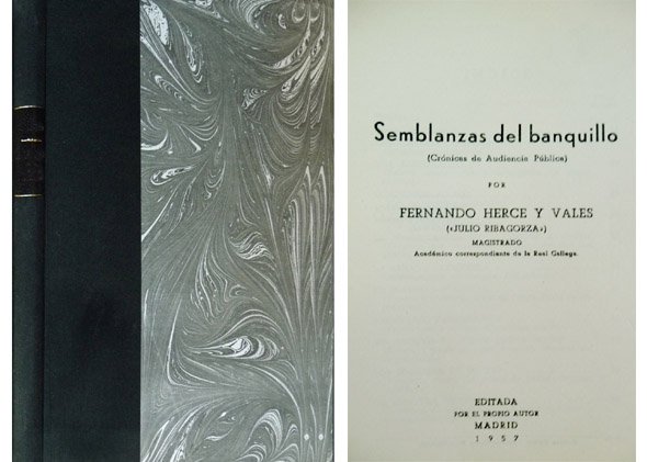 Semblanzas del banquillo. Crónicas de Audiencia Pública.