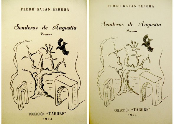 Senderos de Angustia. Poemas.