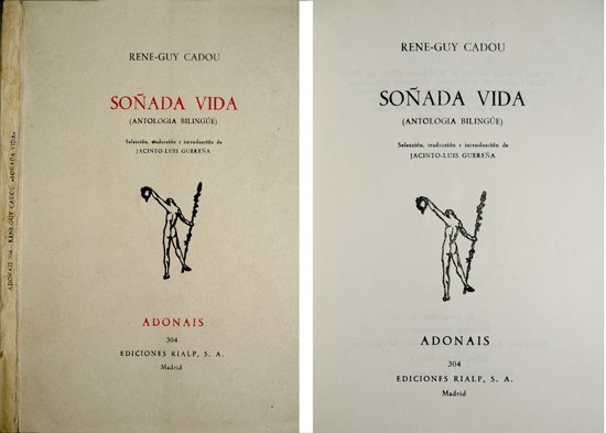Soñada vida. Antología bilingüe. Selección, traducción e introducción de Jacinto-Luis …
