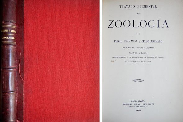 Tratado elemental de Zoología. Parte Primera: Zoología General. Protozoarios y …