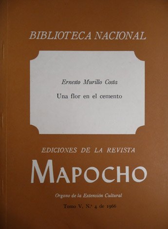 Una flor en el cemento.