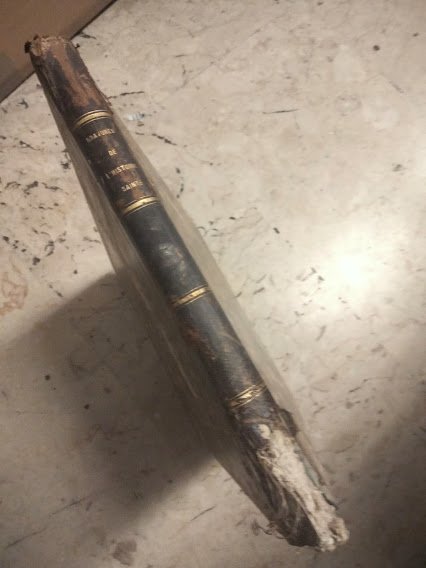 Sacræ Historiæ Acta a Raphaele Urbini Vaticanis Xystis ad picturæ …