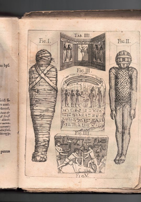 Titi Lucretii Cari De Rerum Natura libri sex una cum …