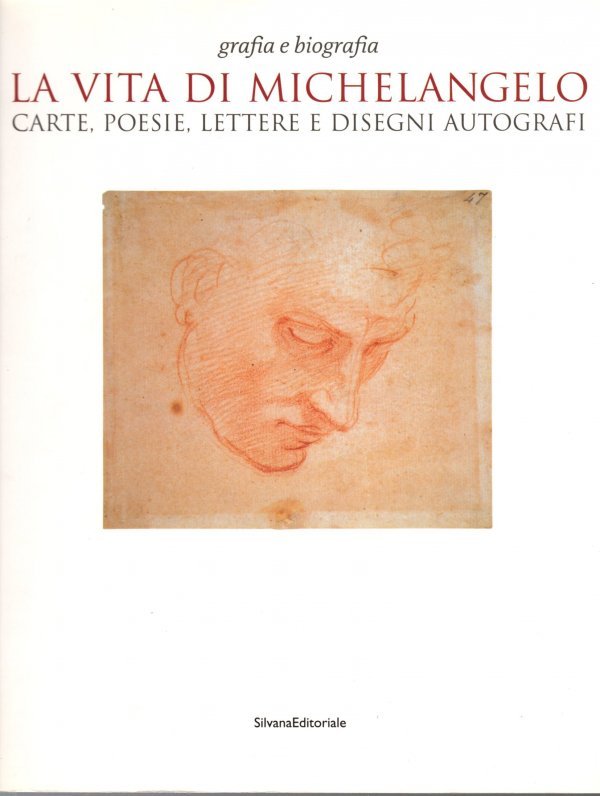 La vita di Michelangelo | Immagine principale