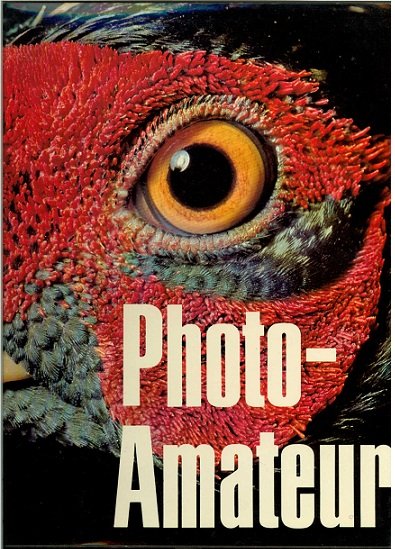 Photo-amateur | Immagine principale