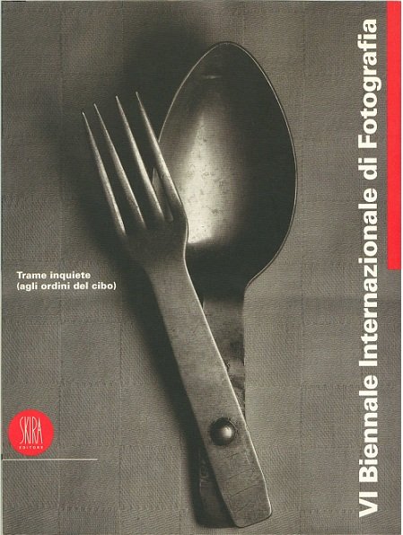 VI Biennale internazionale di fotografia | Immagine principale