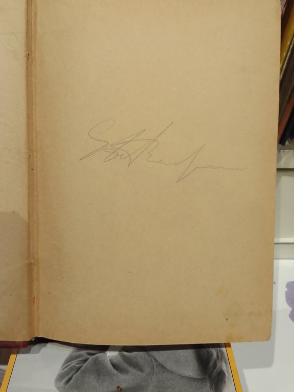 AMORE BENDATO, RACCONTO