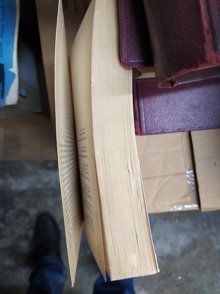 Vita battagliera | Immagine Gallery 1