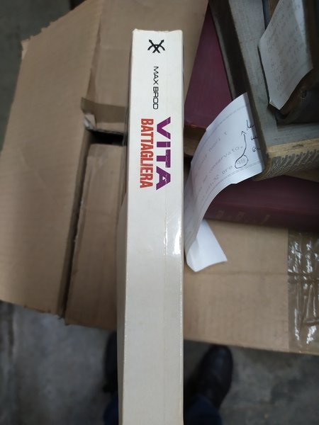 Vita battagliera | Immagine Gallery 4