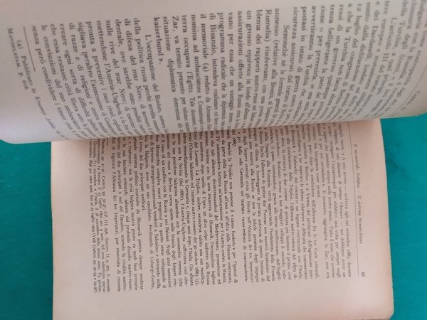 Costantinopoli e gli stretti nella politica russa ed europea