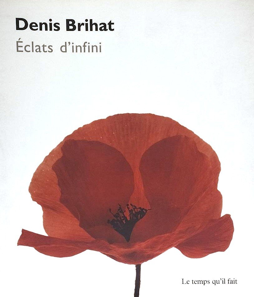 Denis Brihat Éclats d'infini | Immagine principale