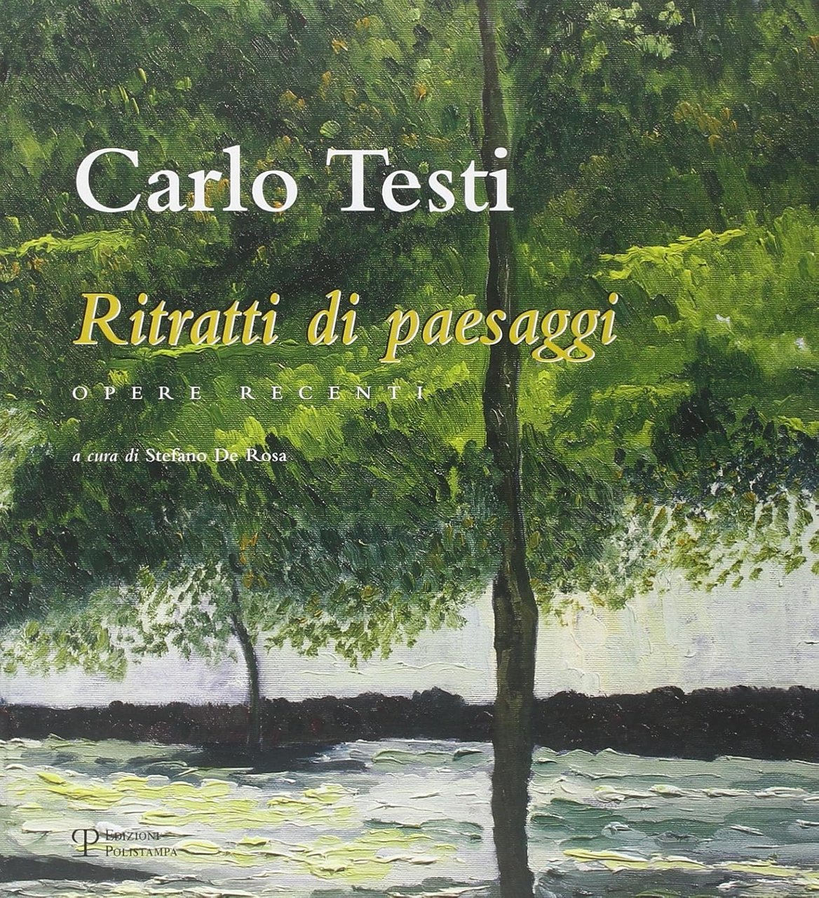 Carlo Testi Ritratti di paesaggi Opere recenti | Immagine principale