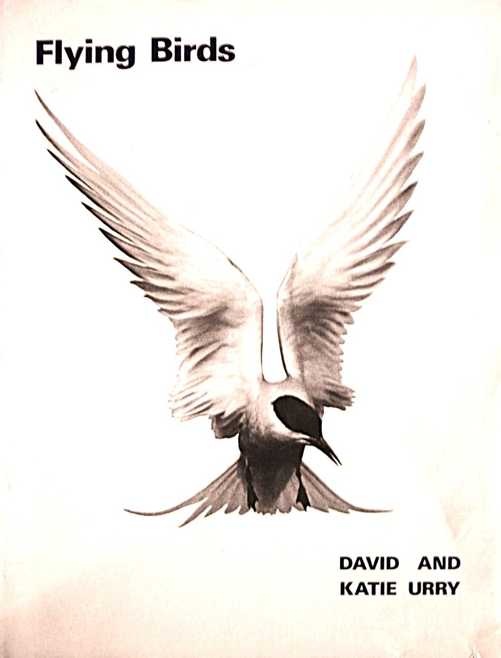 Flying Birds | Immagine principale