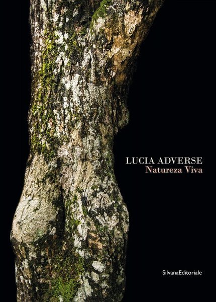 Lucia Adverse Natureza Viva