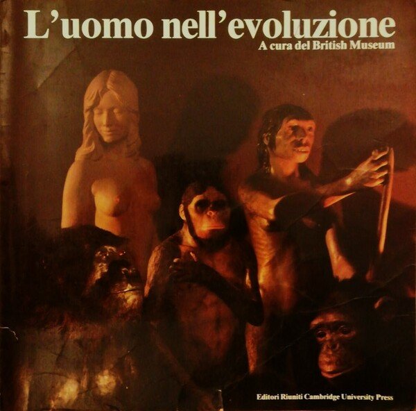 L'uomo nell'evoluzione