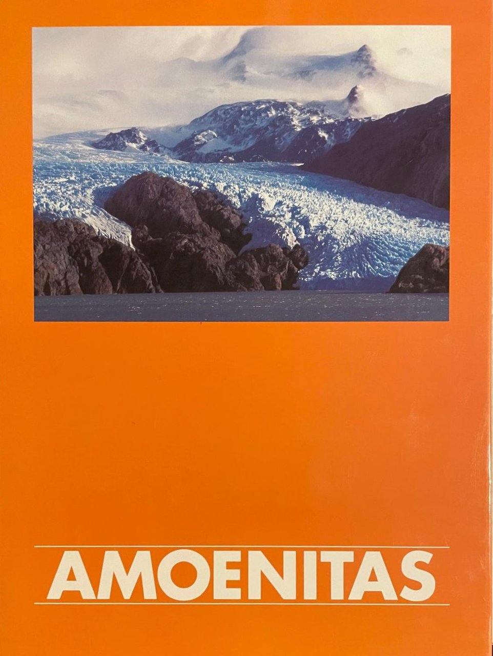 Amoenitas ETHICA HUMANA OPUS 99/2000 Bellezza/Competenza