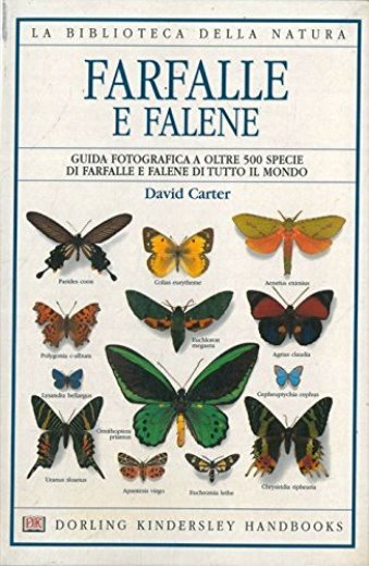 Farfalle e falene | Immagine principale