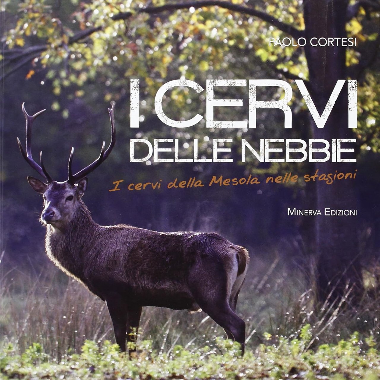 I cervi delle nebbie I cervi della Mesola nelle stagioni