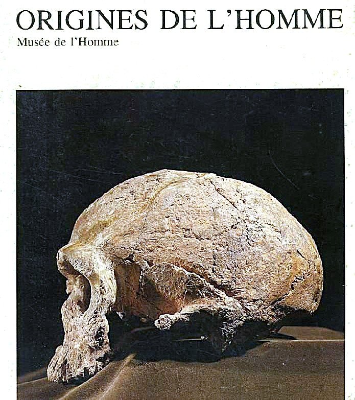 Origines de l'homme | Immagine principale