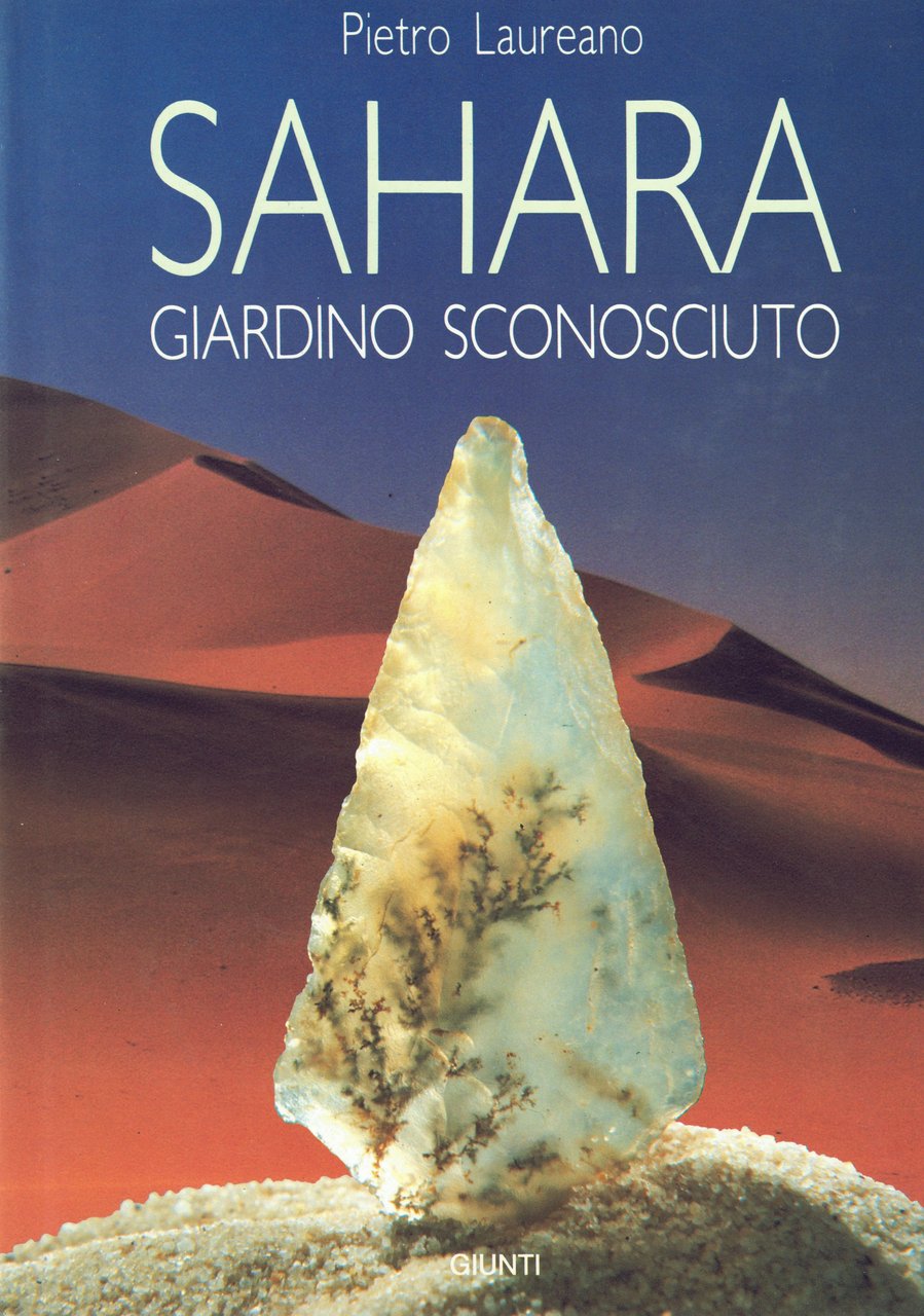 Sahara Giardino sconosciuto | Immagine principale