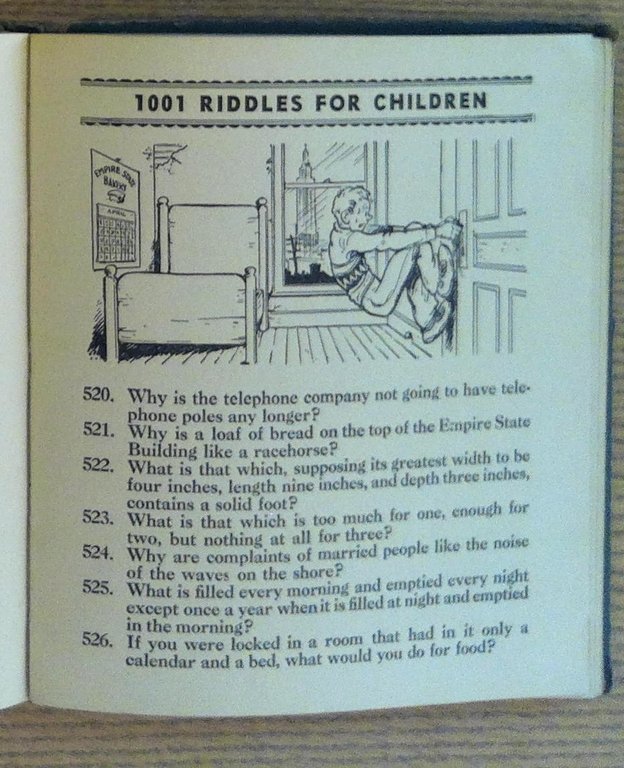 1001 Riddles for Children