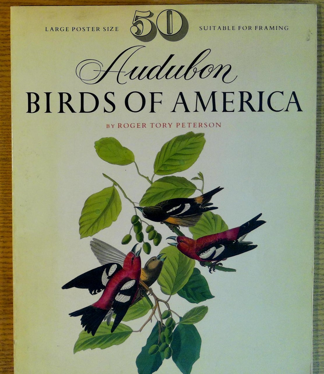 50 Audubon Birds of America