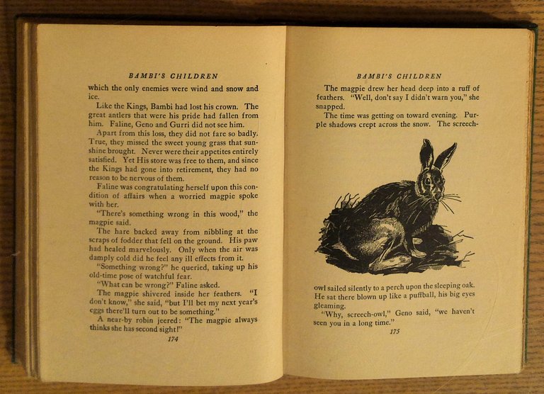 Bambi's Children: The Story of a Forest Family