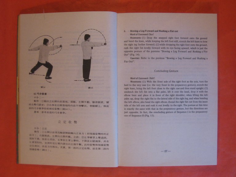 Basic Chinese Boxing