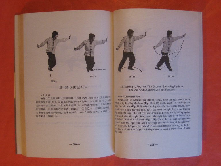 Basic Chinese Boxing