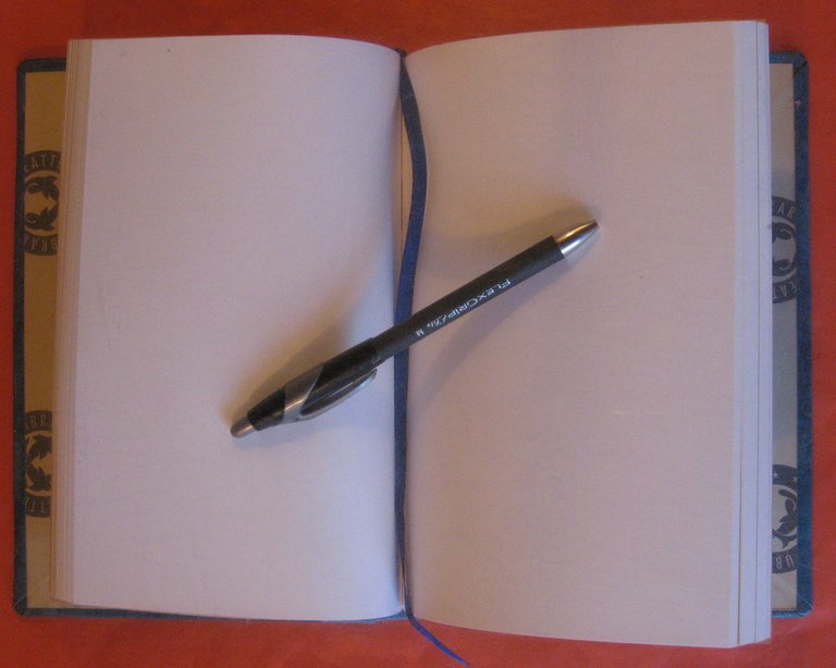 Blank Journal (Pestryia Pisma)