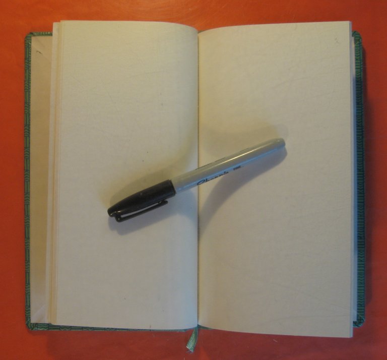 Blank Journal (Second Seasons)