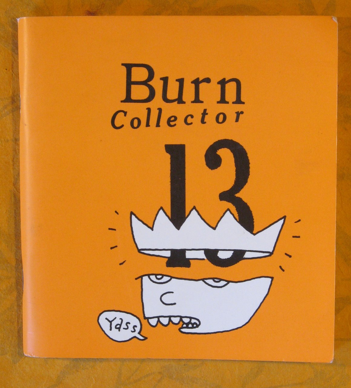 Burn Collector 13