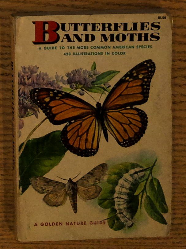 Butterflies and Moths: A Guide to the More Common American …