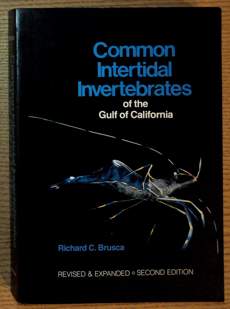 Common Intertidal Invertebrates of the Gulf of California