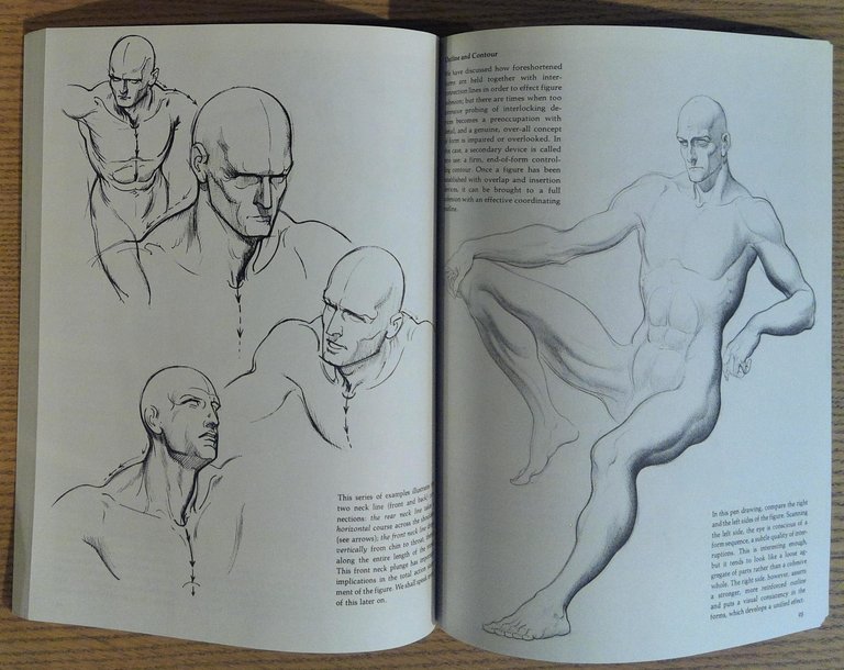 Dynamic Figure Drawing