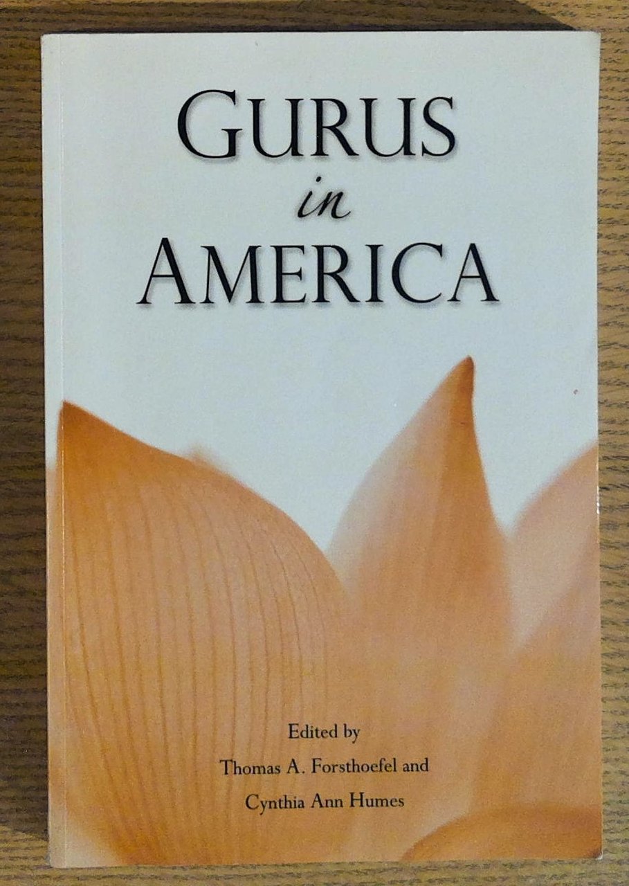 Gurus In America