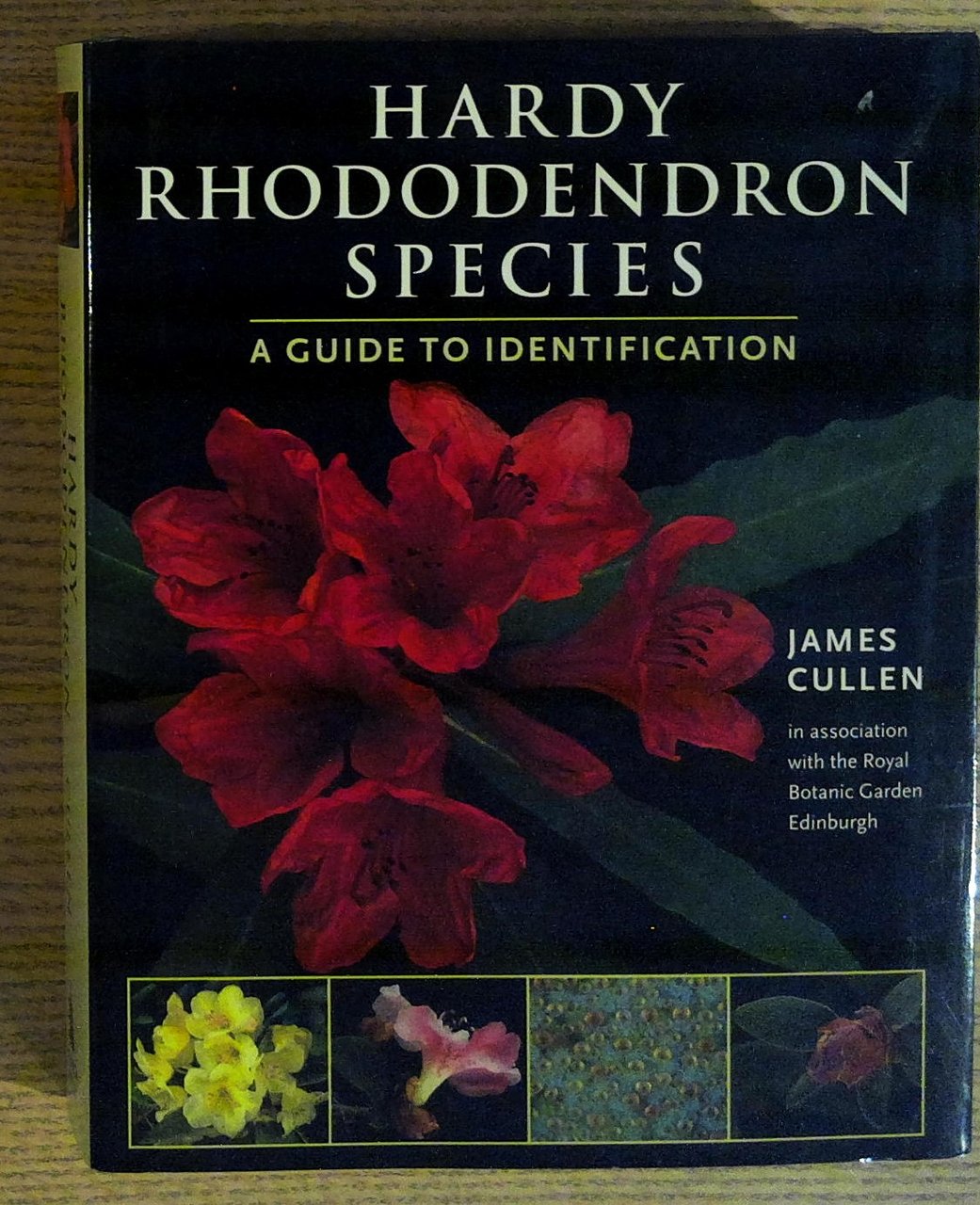 Hardy Rhododendron Species: A Guide to Identification