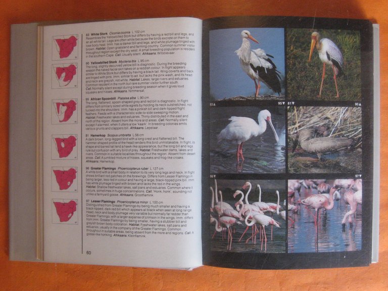 Ian Sinclair's Field Guide to the Birds of Southern Africa