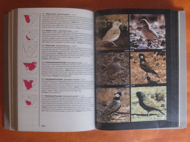 Ian Sinclair's Field Guide to the Birds of Southern Africa