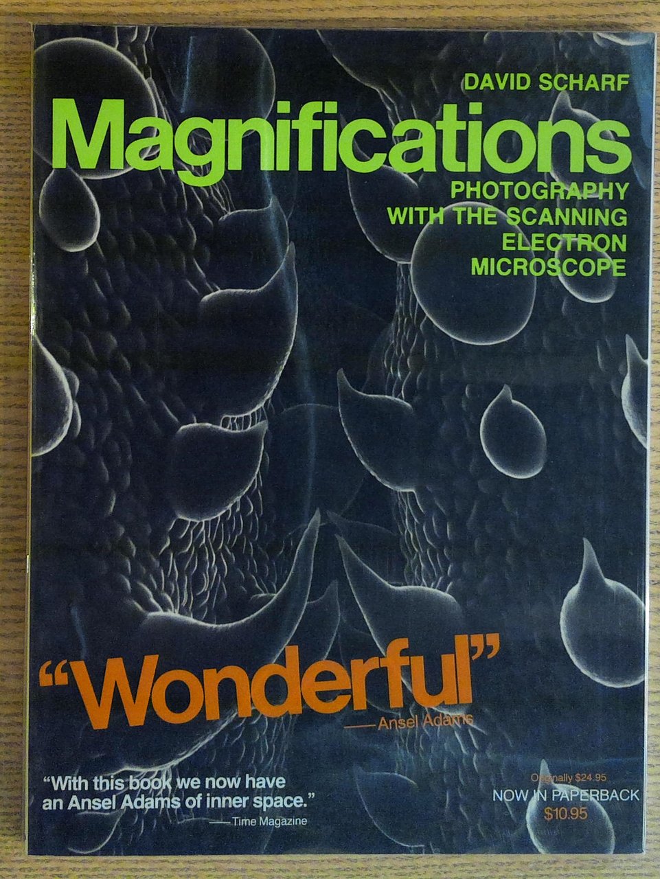 Magnifications: Photography with the Scanning Electron Microscope