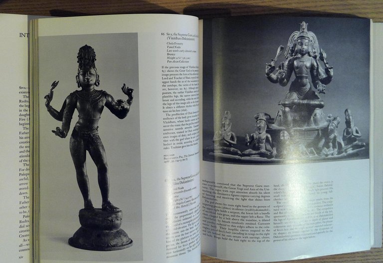 Manifestations of Shiva