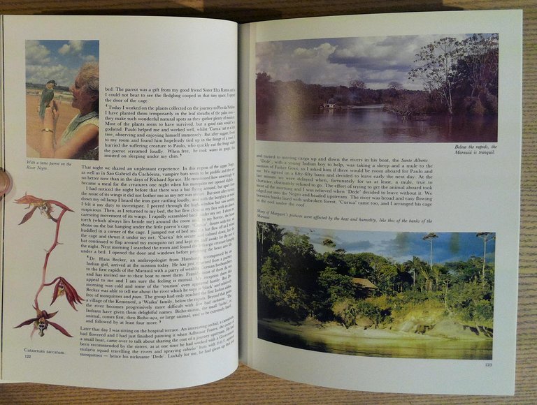 Margaret Mee In Search of Flowers of the Amazon Forests: …